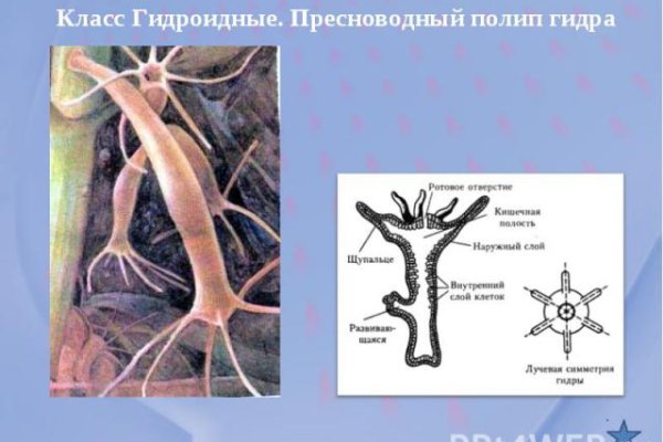 Как зайти на маркетплейс кракен