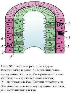 Восстановить аккаунт кракен